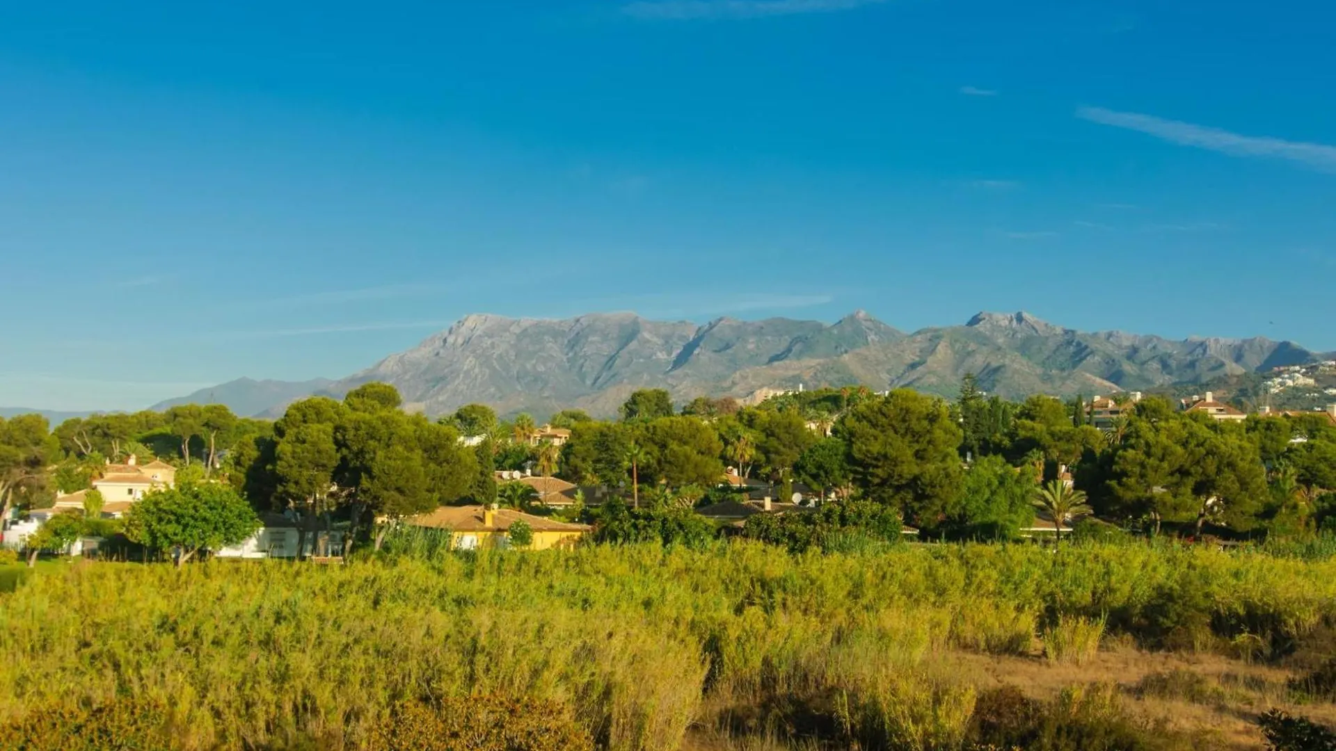 First Level Apartment With Large Terrace Marbella